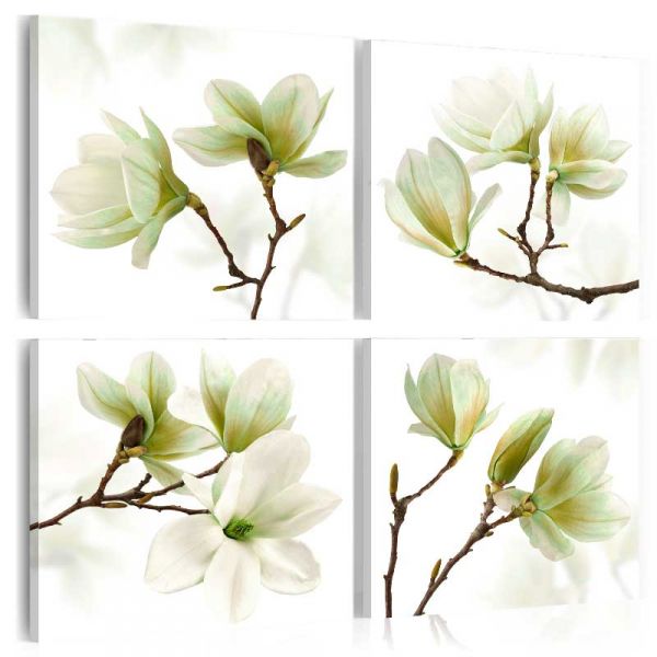 Tableau Admiration of Magnolia