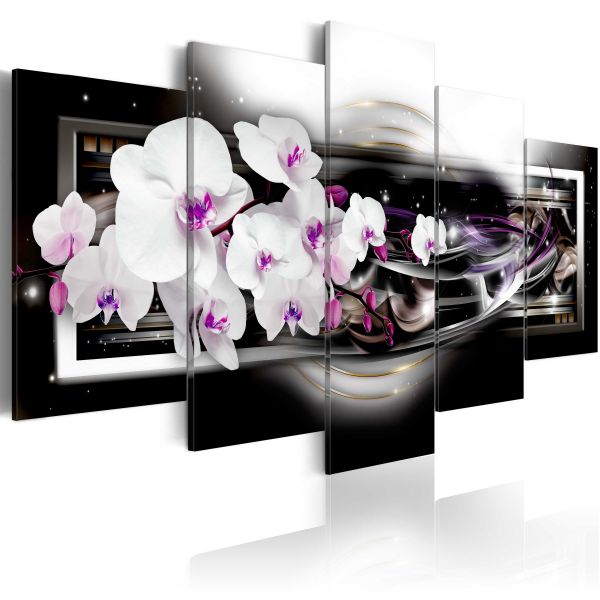 Tableau Fleurs Orchids on a black background