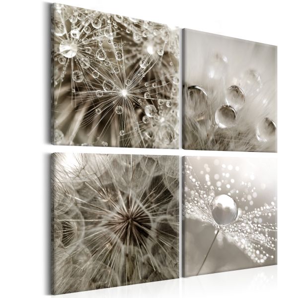 Tableau Fleurs Grey Dandelion