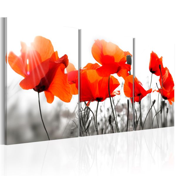 Tableau Fleurs Charming Poppies