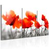 Tableau Fleurs Charming Poppies