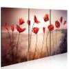 Tableau Fleurs Bright red poppies