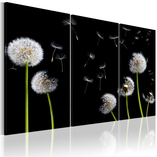 Tableau Fleurs Famille de pissenlits