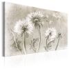 Tableau Fleurs Dandelions (Pencil Artwork)