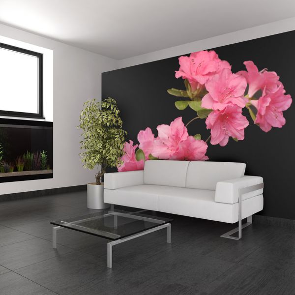 Papier peint intissé Fleurs Azalea in Black