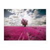 Papier peint intissé Paysages Prairie couleur fuschia