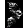 Tapis de salon 120x180 cm Polyester Skull